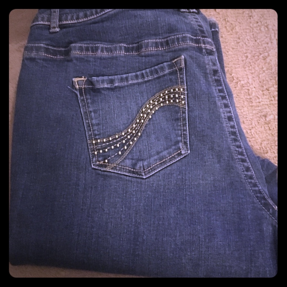 Lane Bryant Jeans